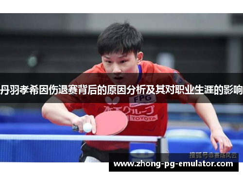 丹羽孝希因伤退赛背后的原因分析及其对职业生涯的影响